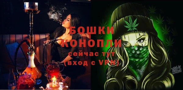 прущие грибы Надым